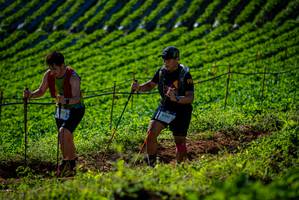 BIB: 1656
                            <button type="button" onclick="openModal(19160703)" class="btn btn-primary btn-sm float-right btn-popup" data-toggle="modal" data-target=".modal-high-quality">
                        <i class="fas fa-shopping-cart"></i> Add to Cart
                    </button>
                                            <button type="button" onclick="isThisMe(19160703, true)" class="btn btn-success btn-sm float-right btn-popup btn-isme hidden" data-toggle="tooltip" data-placement="bottom" title="นี่คือรูปของคุณใช่ไหม คลิกที่นี่เพื่อเอาเข้าอัลบั้ม">
                        <i class="fas fa-plus"></i> Add to album
                    </button>
                    <button type="button" onclick="isThisMe(19160703, false)" class="btn btn-warning btn-sm float-right btn-popup btn-isnotme hidden">
                        <i class="fas fa-ban"></i> Remove from album
                    </button>